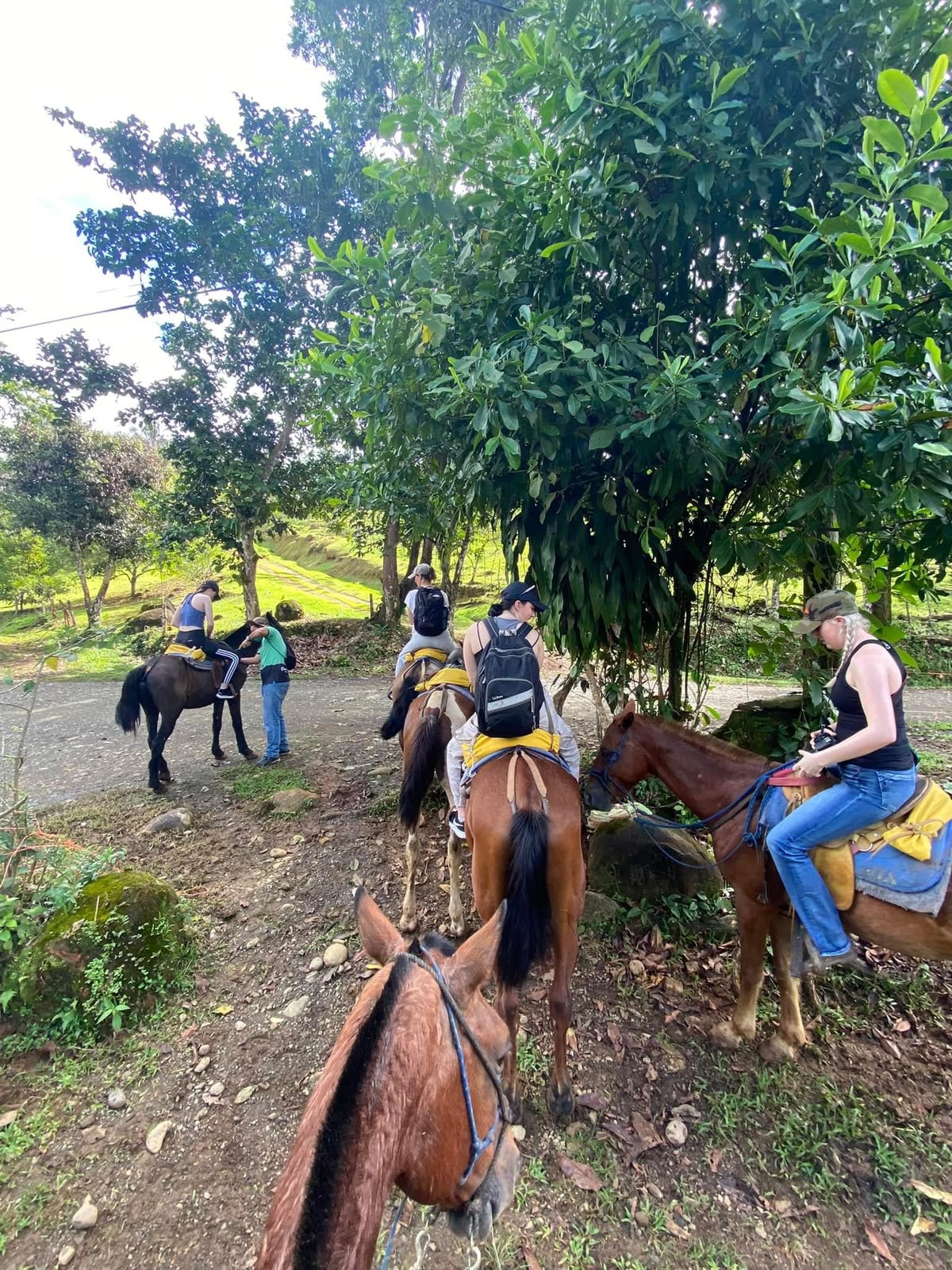 Horseback Riding in Costa Rica 2