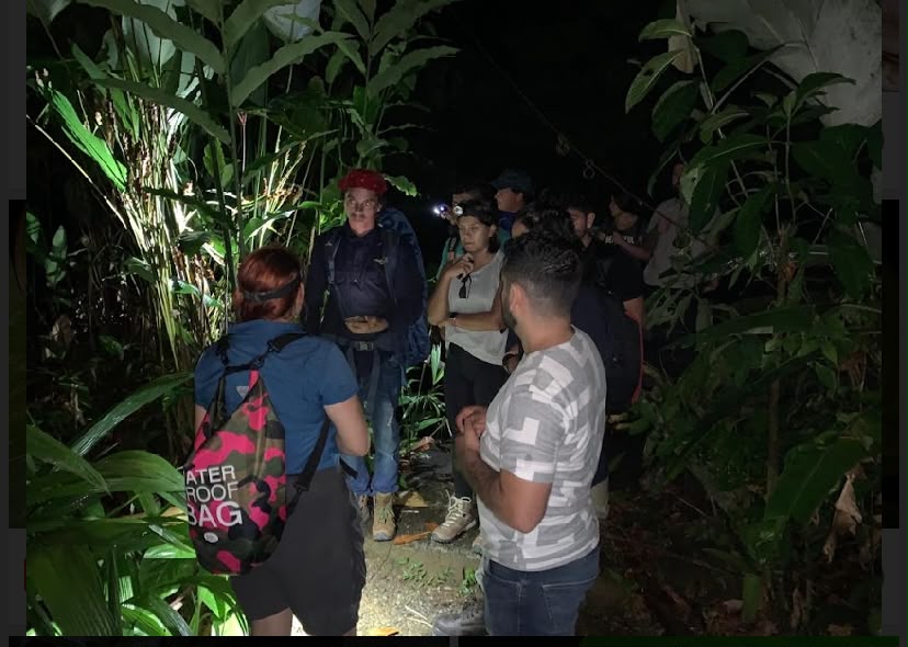 Night Hike in Costa Rica 2
