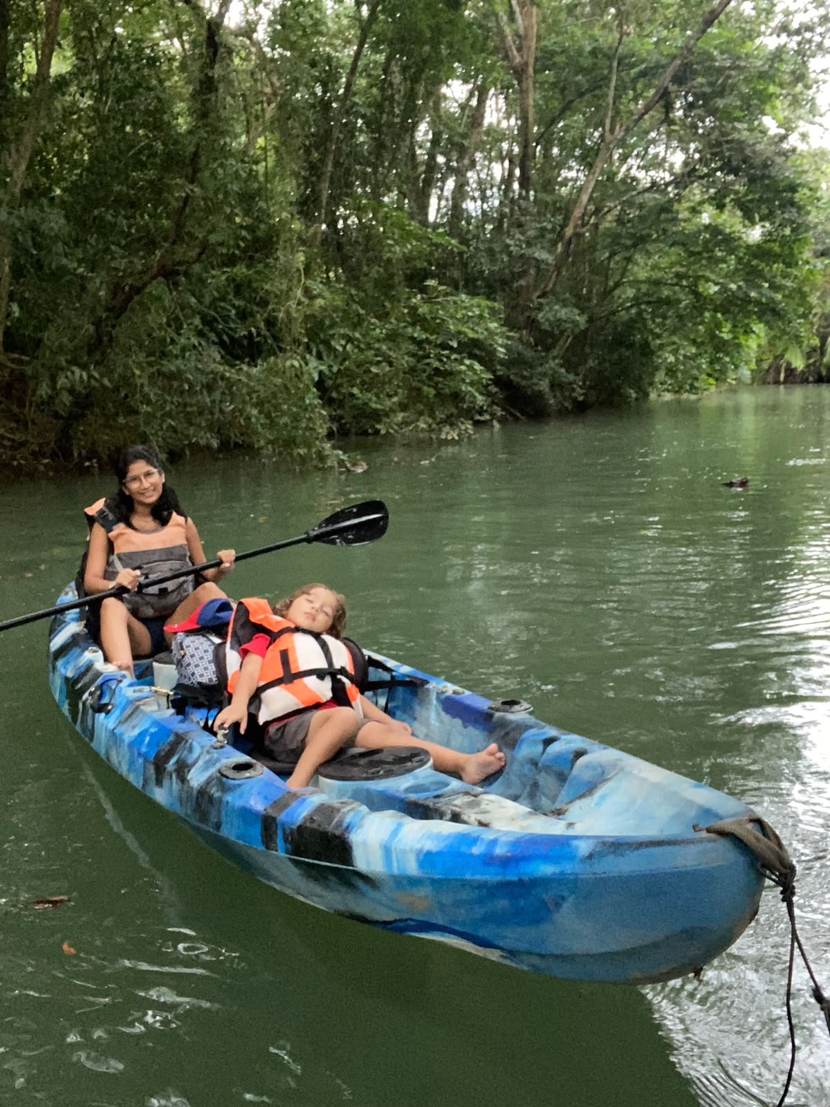 Kayak tour through a Costa Rican mangrove