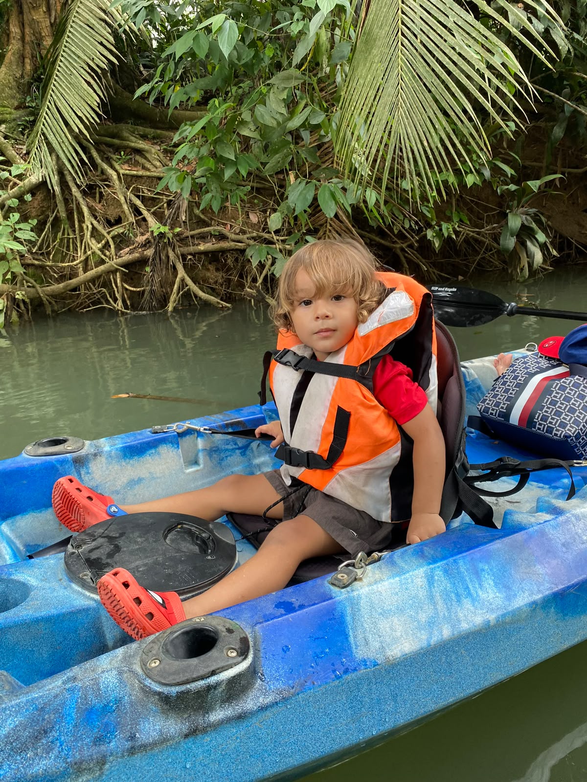 Mangrove Tour in Costa Rica 2