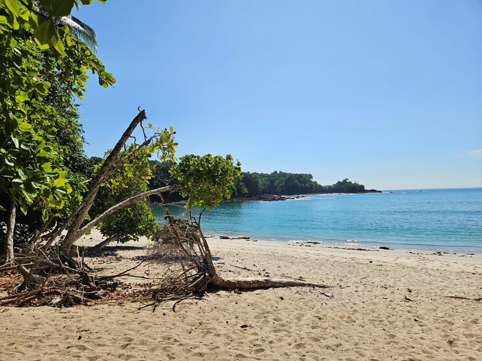 Beach and rainforest at Manuel Antonio National Park